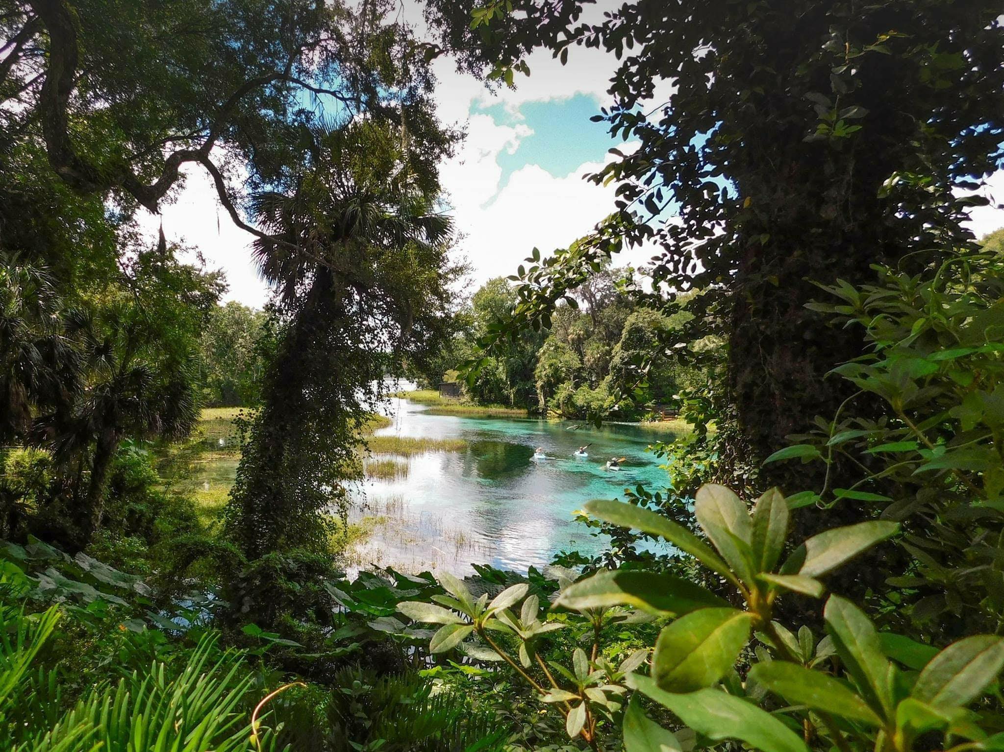 Summer at Rainbow Springs